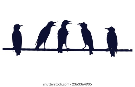 Birds Silhouette Vector. Birds Vector Illustration.