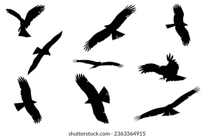 Birds Silhouette Vector. Birds Vector Illustration.