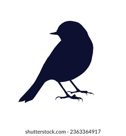 Birds Silhouette Vector. Birds Vector Illustration.