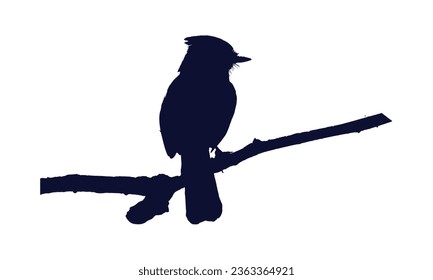 Birds Silhouette Vector. Birds Vector Illustration.