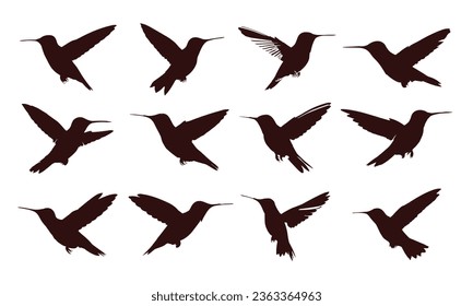 Birds Silhouette Vector. Birds Vector Illustration.
