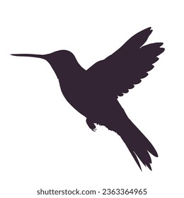 Birds Silhouette Vector. Birds Vector Illustration.