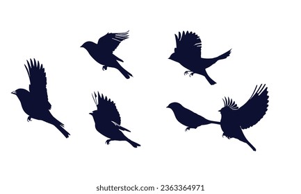 Birds Silhouette Vector. Birds Vector Illustration.