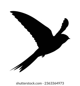 Birds Silhouette Vector. Birds Vector Illustration.