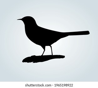 birds in silhouette for vector illustrations