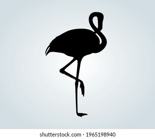aves en silueta para ilustraciones vectoriales