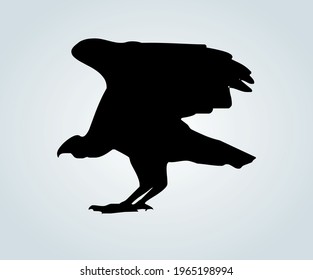 birds in silhouette for vector illustrations