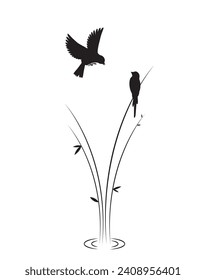 Birds silhouette and water ride, vector. Two birds silhouettes and water ride plant illstration isolated on white background. Minimalist black and white art design