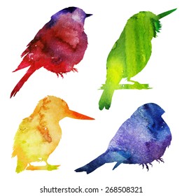 Birds Silhouette  watercolor illustration