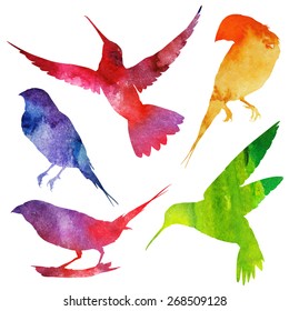 Birds Silhouette  watercolor illustration