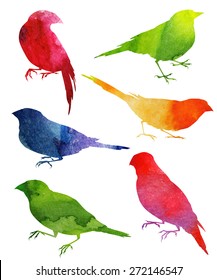 Birds Silhouette. watercolor illustration