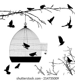 Birds silhouettes and bird cage over white background
