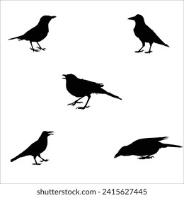 Birds silhouettes. Black bird outline shapes isolated on white background. Vector illustration