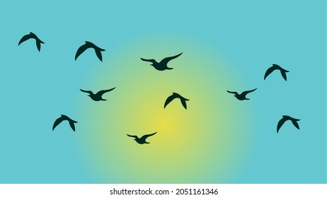 Birds silhouettes in blue sky with sunlight, Set of flying birds