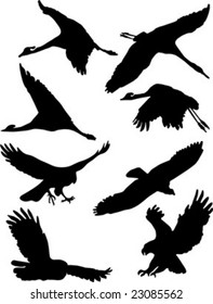 birds silhouettes collection