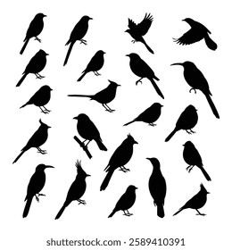 A Birds silhouettes collection illustration with white background