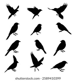 A Birds silhouettes collection illustration with white background
