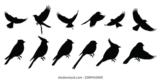 A Birds silhouettes collection illustration with white background