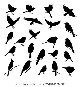 A Birds silhouettes collection illustration with white background