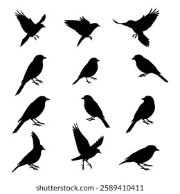 A Birds silhouettes collection illustration with white background