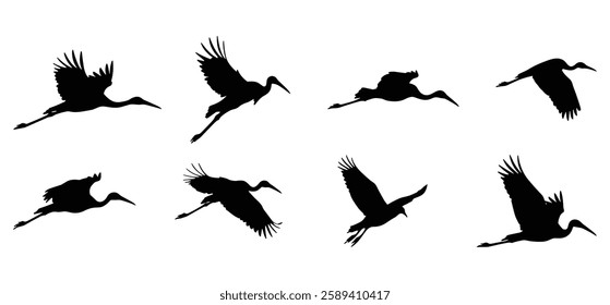 A Birds silhouettes collection illustration with white background