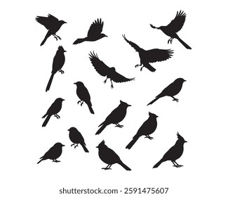 A Birds silhouettes collection illustration with white background design.