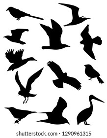 The birds silhouettes. Flight. Crow. Swallow. Falcon. Pelikan. Chaika. Bird. Birds on a white background