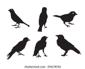 Birds Silhouettes Isolated on White Vector Illustration EPS10