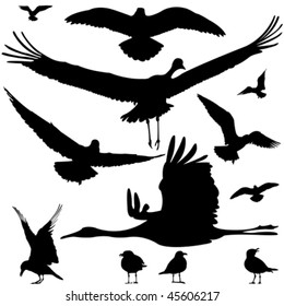 birds silhouettes isolated on white, abstract art illustration