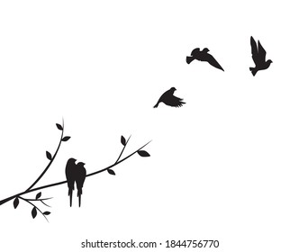 Birds silhouettes on branch and flying birds, Vector. Birds couple silhouette on branch isolated on white background, illustration. Wall Decals, Wall Art Decoration. Wall artwork