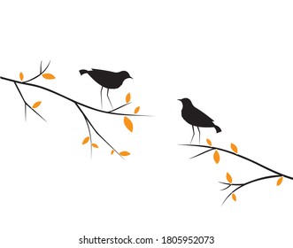 Birds Silhouettes on Branch, Vector. Birds couple silhouette on branch isolated on white background, illustration. Wall Decals, Wall Art Decoration. Wall artwork