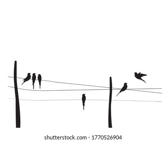 Siluetas de pájaros en alambre, vector. Decadaciones murales, obras de arte en la pared. Diseño de arte minimalista escandinavo. Diseño de afiches aislado de fondo blanco. Siluetas de aves voladoras, ilustración. 