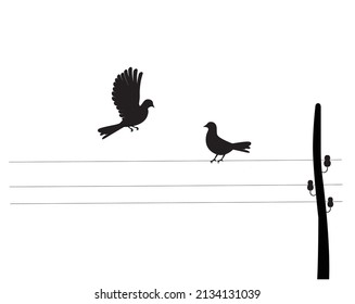 Birds silhouettes on wire, vector. Wall decals, wall art work. Scandinavian minimalist art design. Poster design isolated on white background. Flying birds silhouettes, illustration