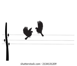 Birds silhouettes on wire, vector. Wall decals, wall artwork. Scandinavian minimalist art design. Poster design isolated on white background. Flying birds silhouettes, illustration