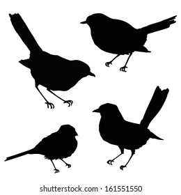 Birds silhouettes. Vector illustration isolated on white