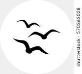 Birds simple icon