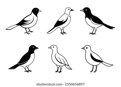 Silueta de Vector de conjunto simple de pájaros