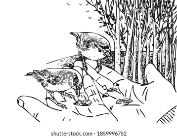 Birds sit on human hands. A man feeds birds in the park. Vector illustration isolated on white background. Outline style.   love of animals, birds, protection of nature.