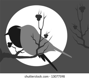  birds sitting on a branch of tree	