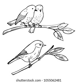 Birds sitting on a branch. Vector sketch illustration.