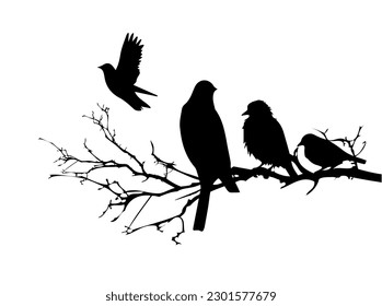 Birds are sitting on a branch. Vector illustration
