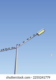 Aves sentadas en una linterna por la noche contra un cielo azul con la luna.