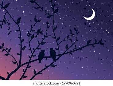 Birds sitting on tree branch. Starry night sky and crescent moon. Vector background.