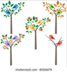 Birds sitting on trees. Four seasons - spring, summer, autumn, winter.