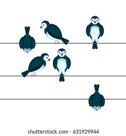 Birds sitting on wire in different positions vector illustration