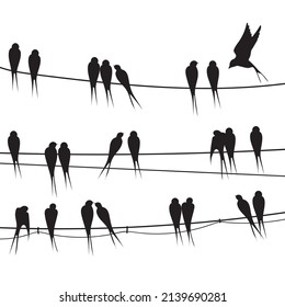 Birds sitting wire. Silhouette flock black bird on telephone electricity cable, swarm feathers swallow or swift pair sparrow love fly animal vector illustration. Silhouette bird wildlife on wire