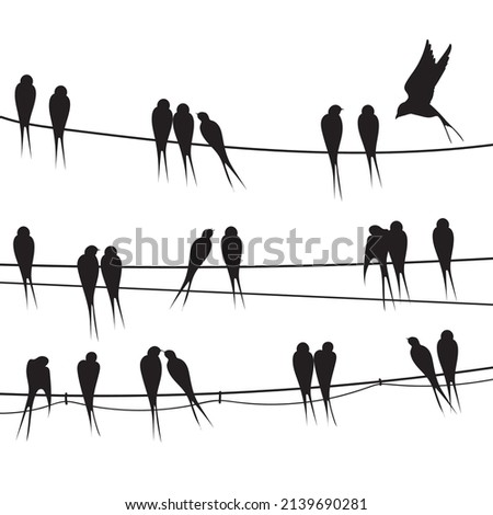 Birds sitting wire. Silhouette flock black bird on telephone electricity cable, swarm feathers swallow or swift pair sparrow love fly animal vector illustration. Silhouette bird wildlife on wire