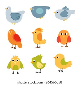Birds sketch color vector set.