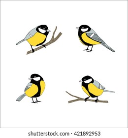 Birds sketch set. Tomtit.