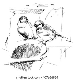 Birds sketch, sparrows